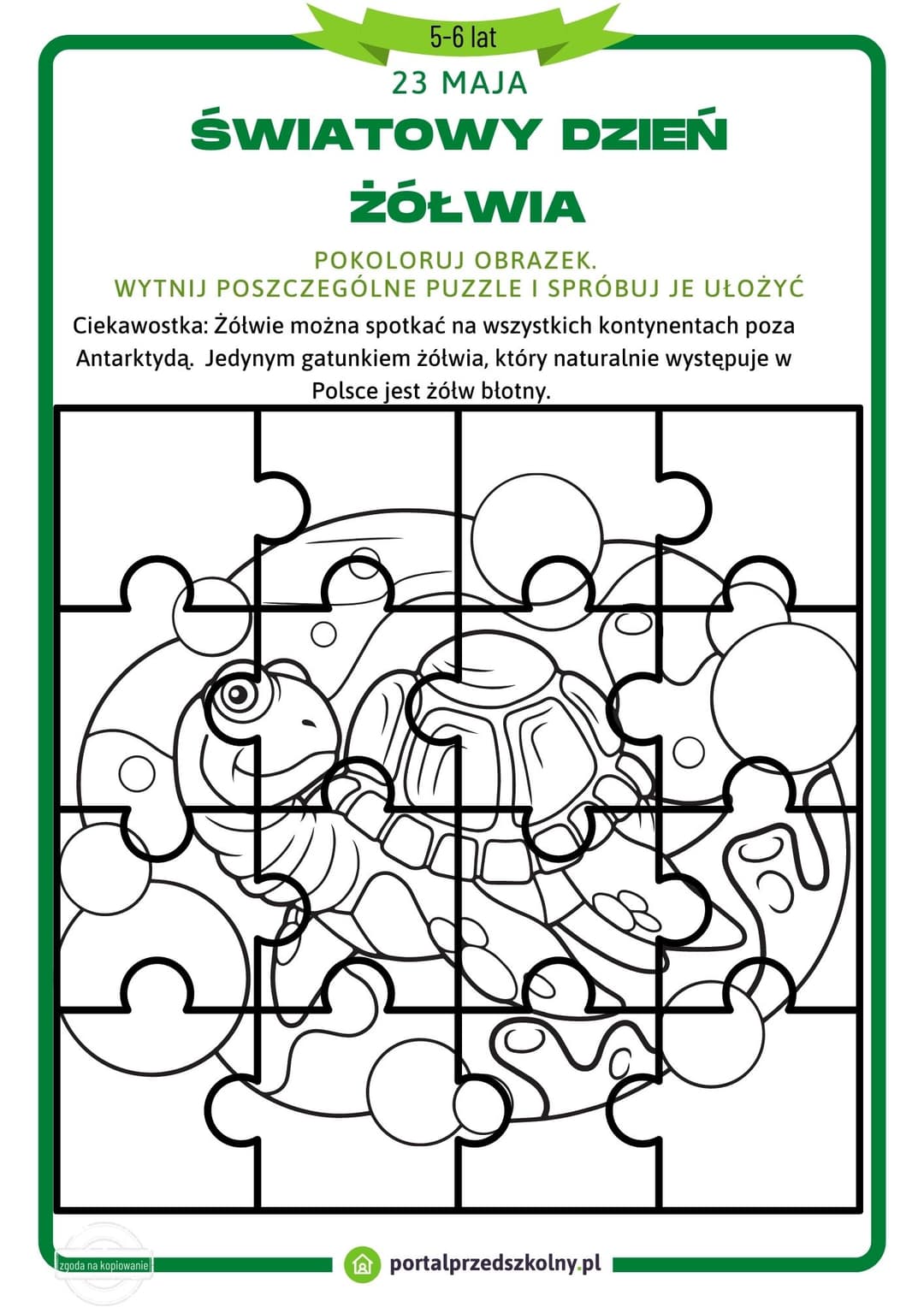 światowy dzień  żółwia 5-6 lat