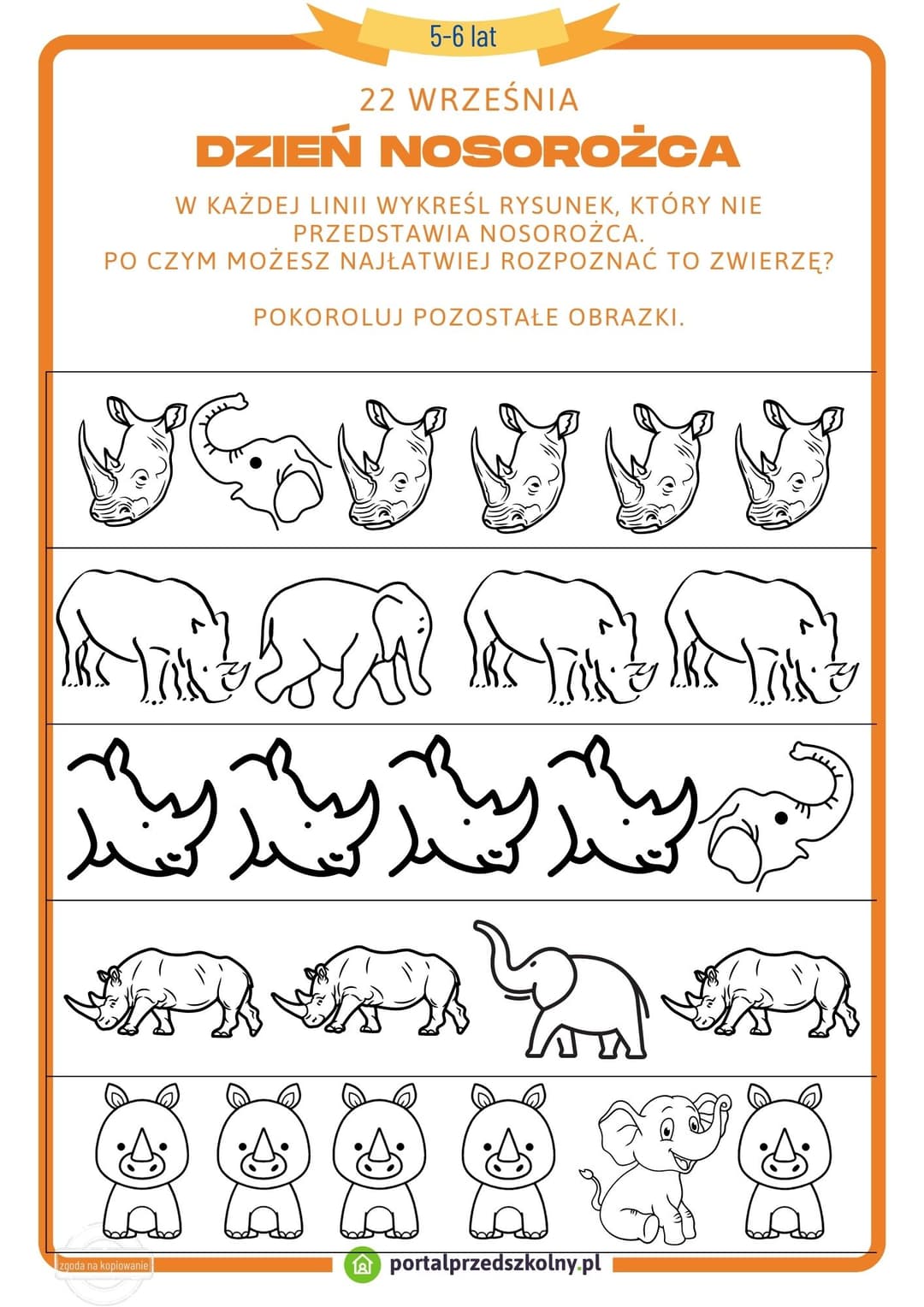 22 września Dzień Nosorożca_5-6 lat