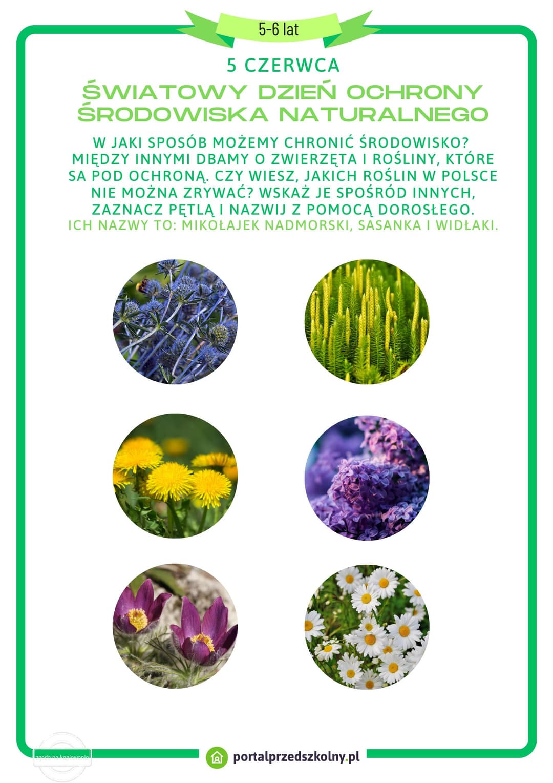 Karta pracy dla 5 i 6-latków na 5 czerwca (Dzień Ochrony Środowiska Naturalnego)