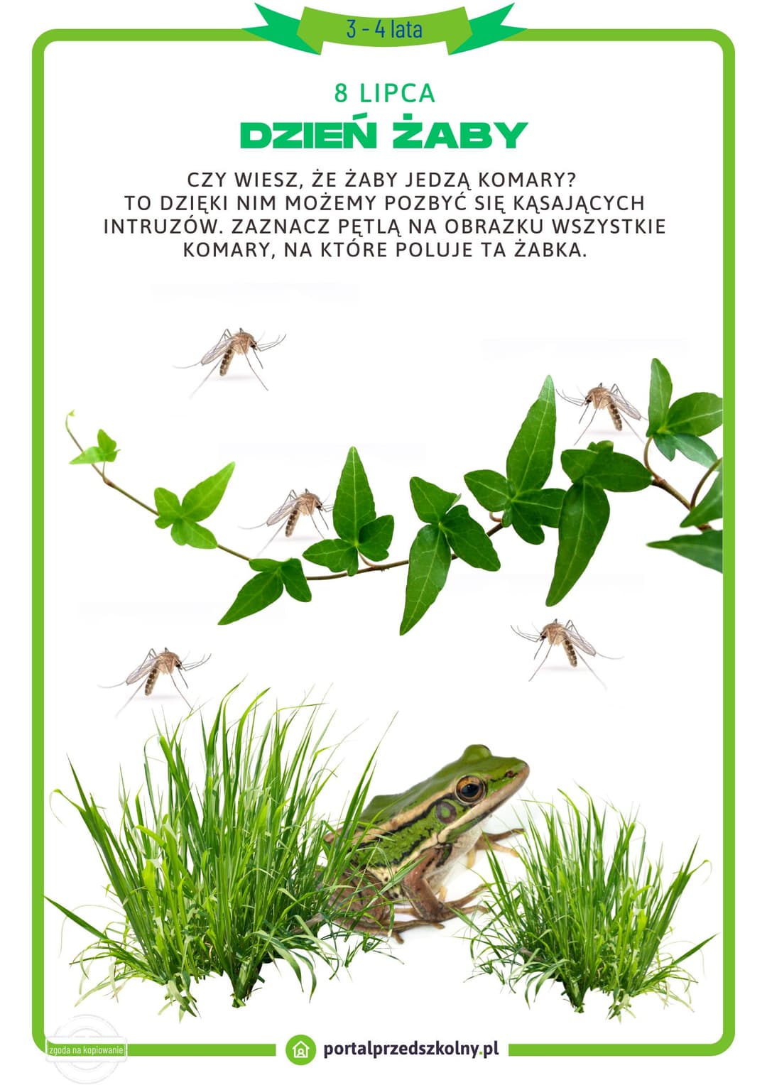 Karta pracy dla 3 i 4-latków na 8 lipca (Dzień Żaby) 