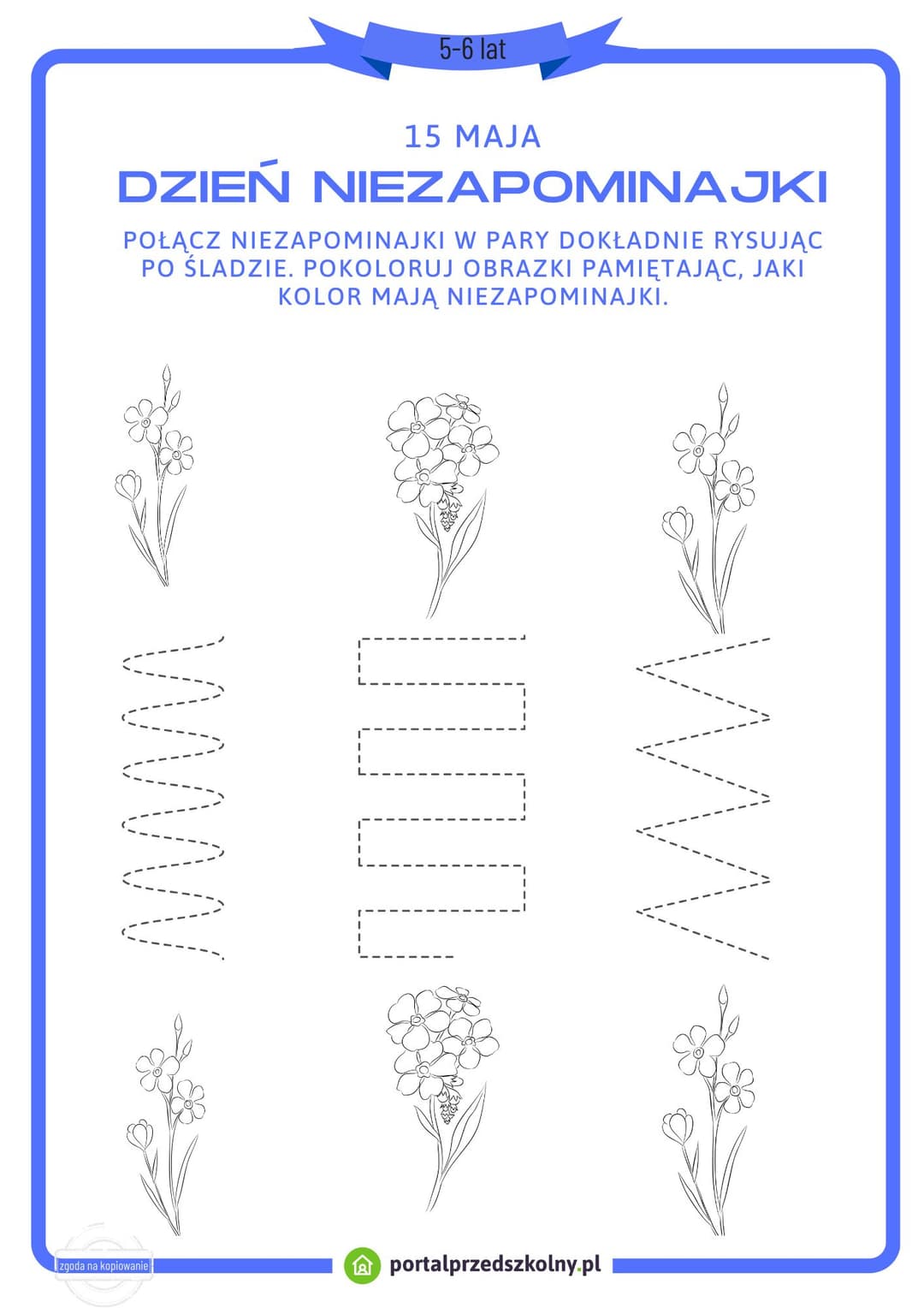 Karta pracy dla 5 i 6-latków na 15 maja (Dzień Niezapominajki) 
