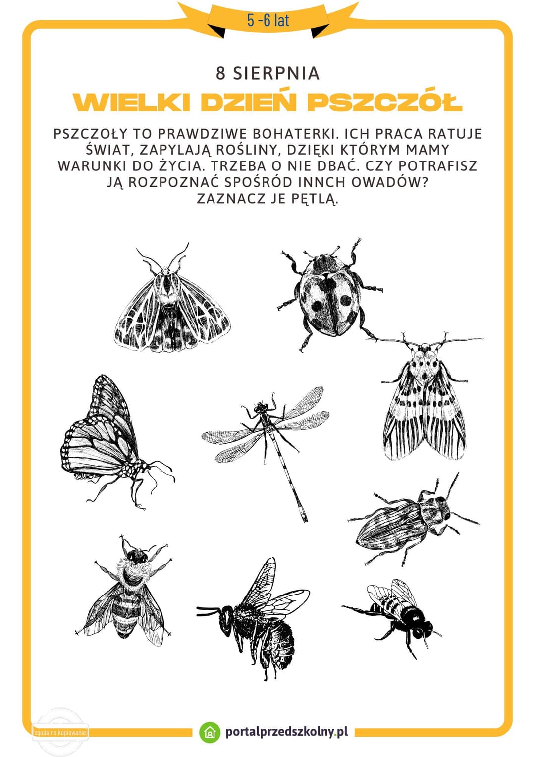 Karta pracy dla 5 i 6-latków na 8 sierpnia (Dzień Pszczół)