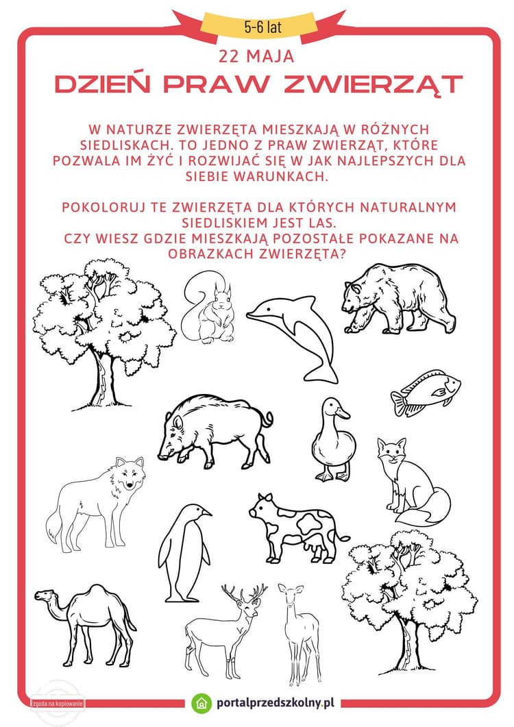   Karta pracy dla 5 i 6-latków na 22 maja (Dzień Praw Zwierząt)