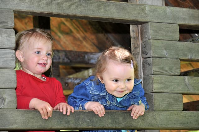Łączenie funkcji dyrektora przedszkola gminnego i żłobka. Na zdjęciu: dzieci w żłobku gminnym