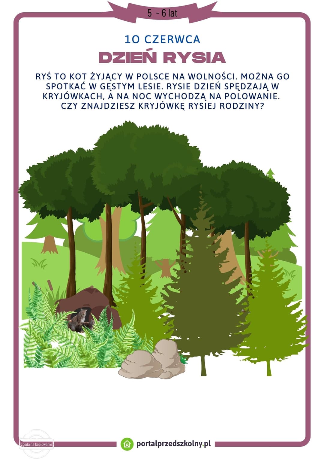 Dzień Rysia 5 - 6 lat