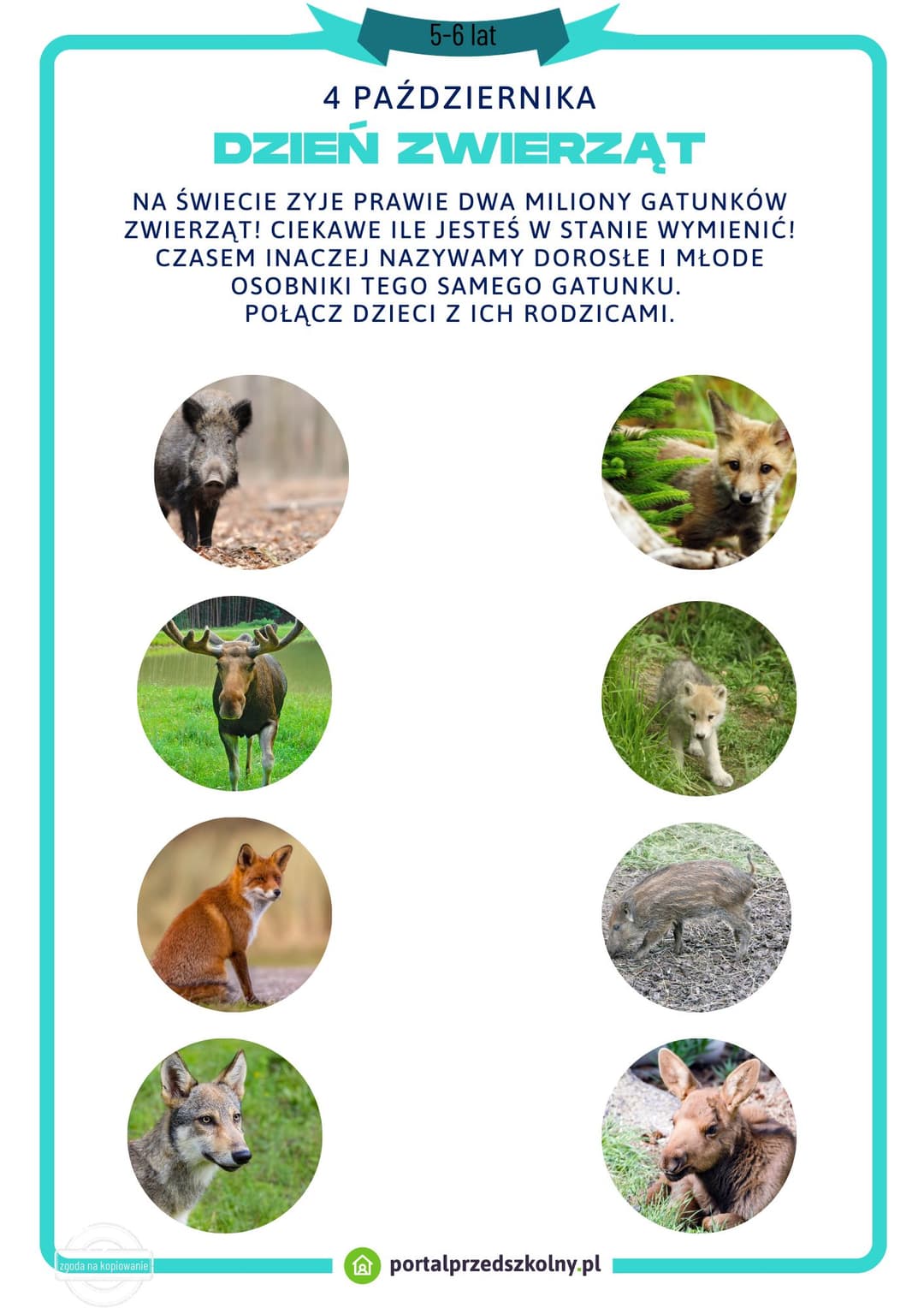   Karta pracy dla 5 i 6-latków na 4 października Dzień Zwierząt