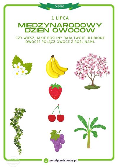 Karta pracy dla 5 i 6-latków na 1 lipca (Międzynarodowy Dzień Owoców)