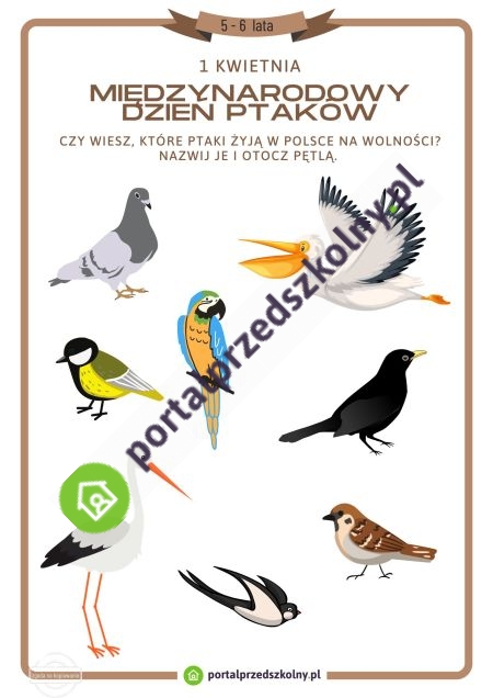 Karta pracy dla 5 i 6-latków na 1 kwietnia (Międzynarodowy Dzień Ptaków)