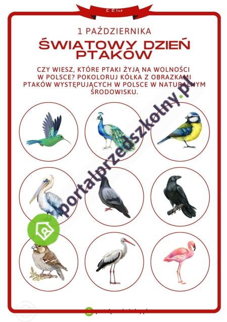   Karta pracy dla 5 i 6-latków na 1 października (Światowy Dzień Ptaków)