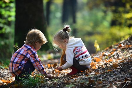 Las wyobraźni. Trening uważności i koncentracji dla dzieci w wieku 4–6 lat